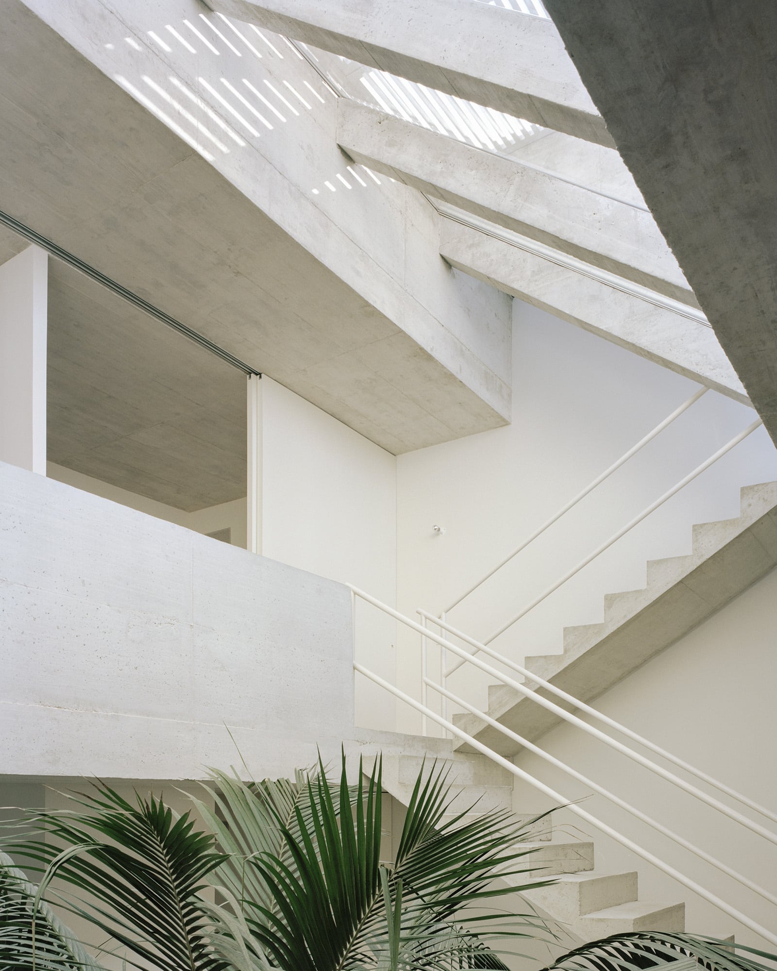 Image of 20220211 ArquitecturaG VerdiHouse 07.2 1 in Verdi House - Cosentino