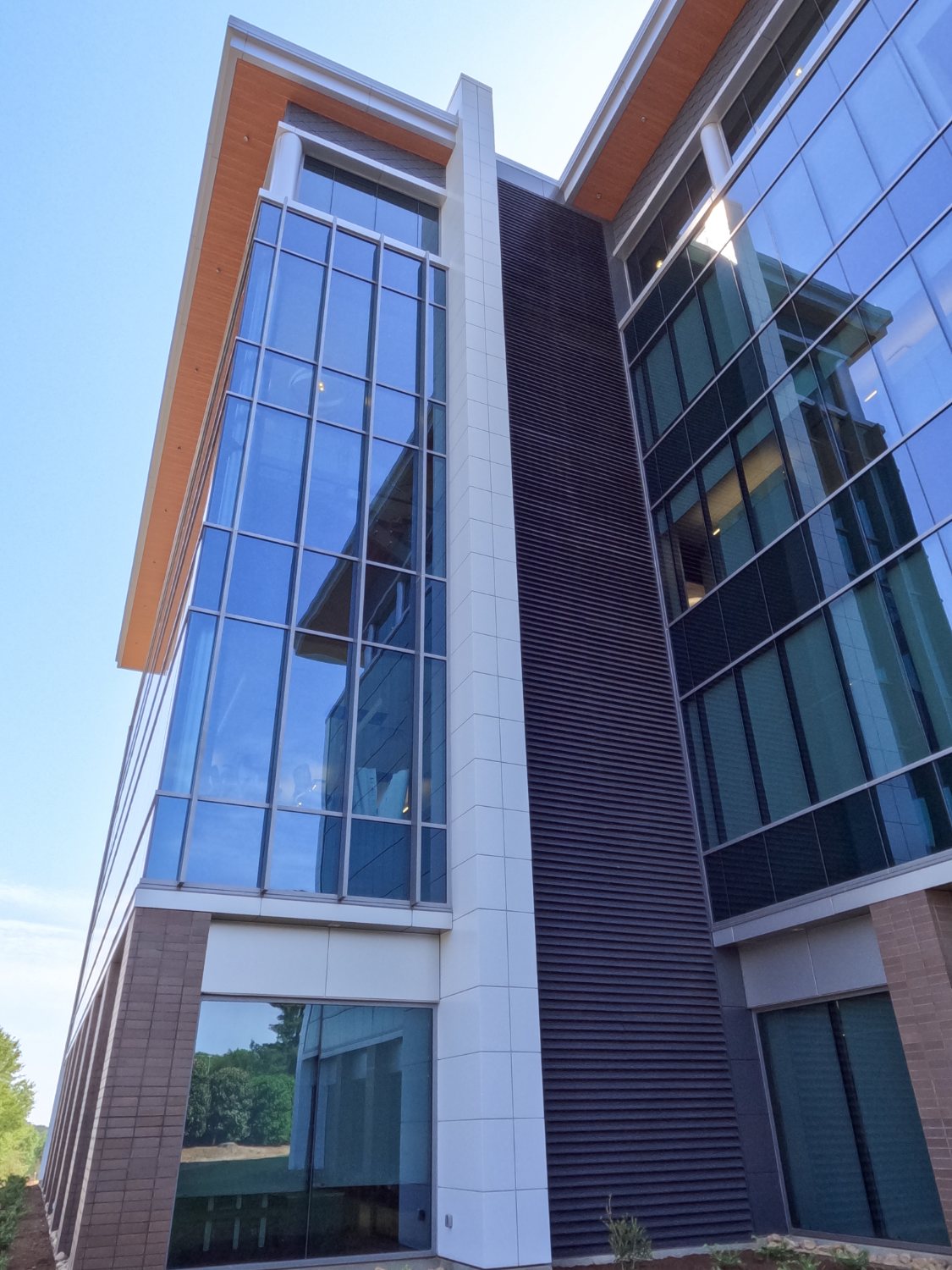 Image 33 of SFB 01 1 in A two-toned facade for Southern First Bank in South Carolina - Cosentino